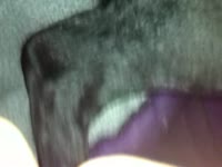 Dirty guy has sex with a dog